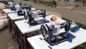 Brother Domestic Sewing Machine - Big Head