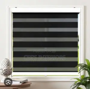 Day and Night Window Blinds.