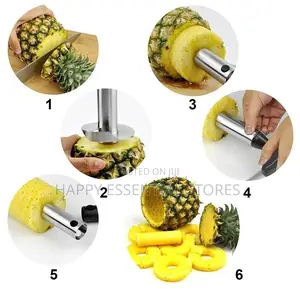 Pineapple Peeler,Slicer and Cutter, Stainless Steel Fruit