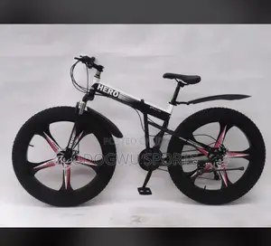 Alloyed Rim Bicycle A341
