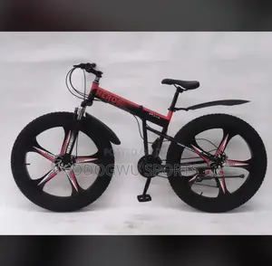 Hero Alloyed Rim Bicycle A221