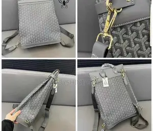 Goyard Luxury Back Bag