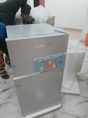 Skyrun 85HC Double Door Refrigerator With 4 Shelve