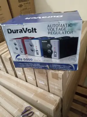 Duravolt 5000watt Stabilizer White and Blue 