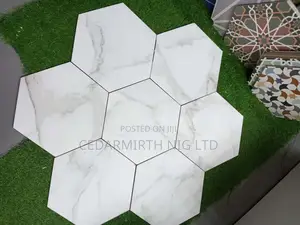 Wall Floor Tile 2024 Design