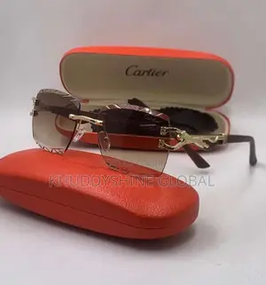 Vintage Classy Designer Glasses With Case