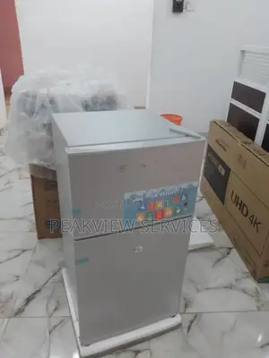 Efficient Skyrun 85HC Double Door Refrigerator With 4shelves