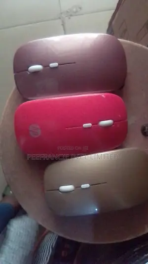 Wireless Rechargeable Mouse With Bluetooth USB