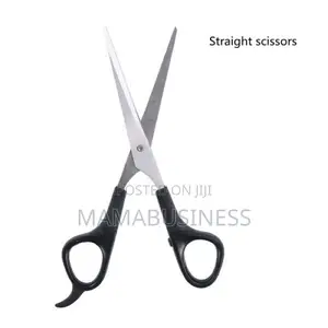 Professional Pet Scissors