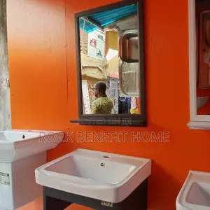 Exclusive Cabinet Basin and Mirror