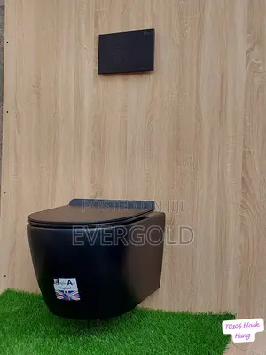 Black Conceal Water Closet With Original Flushing Tank