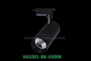 Track Lights 3 in 1