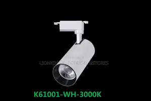 Track Lights 3 in 1