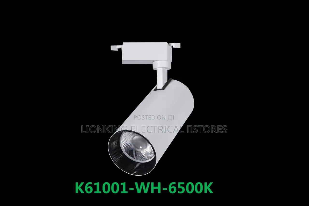 Track Lights 3 in 1