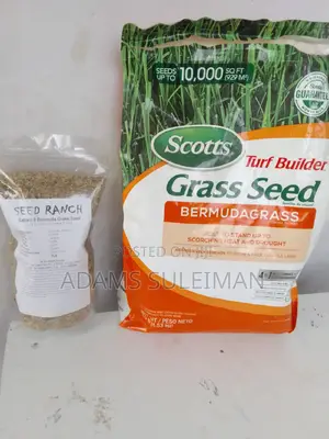Carpet Grass Seed Bermuda and Livestock Grass(Bracharia)