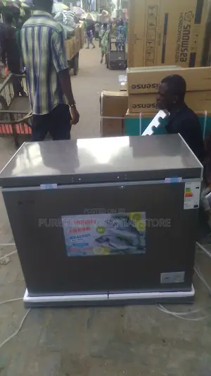 Snowsea Chest Freezer BD308G