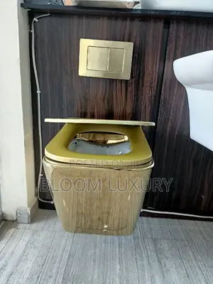 Gold Conceal Toilet