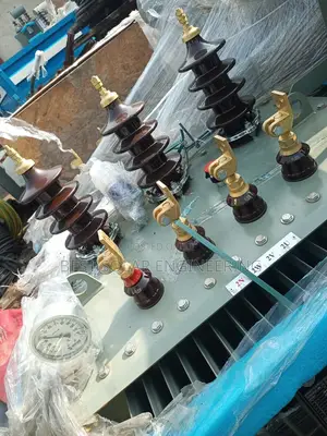 300kva 11/0.400kv Meksan Transformer