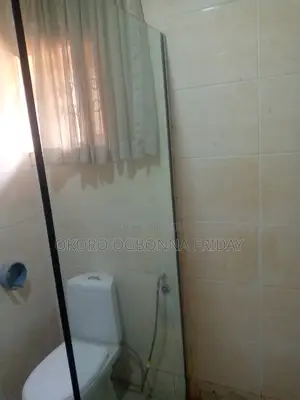 Double Fixed Glass