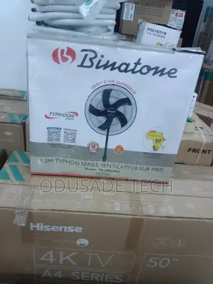 Head Oscilliation Binatone Standing Fan