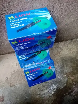 Lion Air Blower