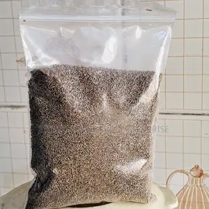 Ajwain Organic Seed Known As Carom.Qty 250g,100g Etc .