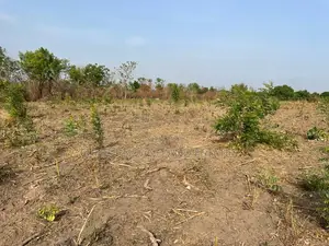 92000 Acres of Land for Sale at Kobape in a Very Good Locat