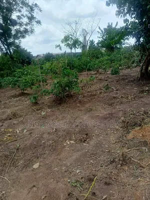 Half Plot for Sale at Aboru
