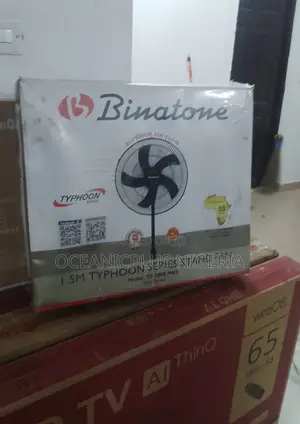 Binatone Ts-1880 Non-Rechargeable Standing Fan
