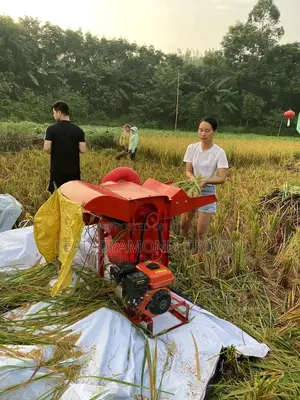 Rice And Other Grains Thresher For Sale