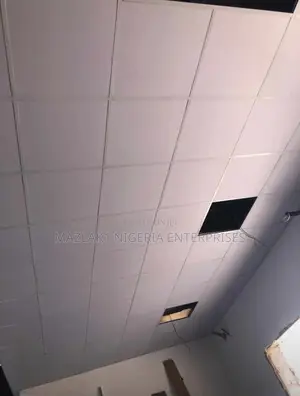 Suspended Ceiling
