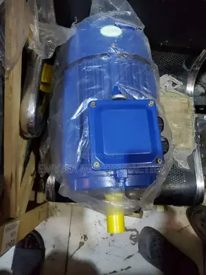 Electric Motor