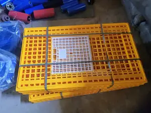 Object Birds Transport Crates