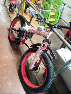 Big Tyre Bike