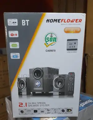 Homeflower 2.1ch Multimedia Speaker System Hf-1102