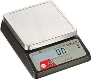 Electronic Scale