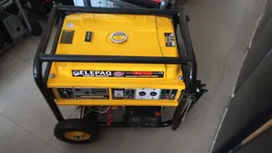 Elepaq Gasoline Generator Sv22000e2