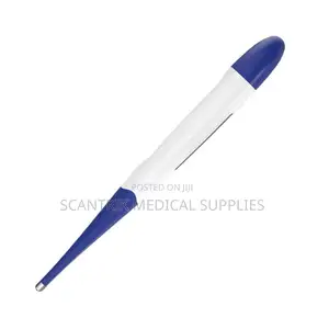 Pocket Clip Thermometer