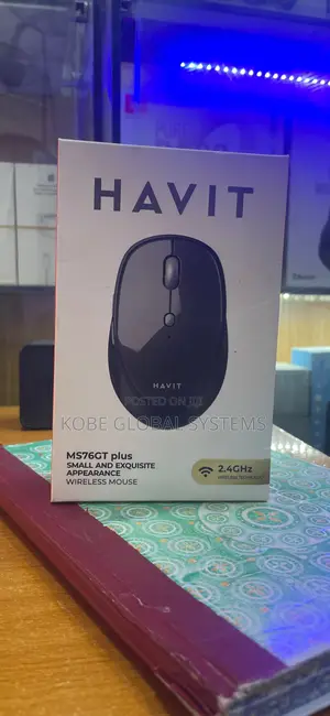 Havit Wireless Mouse MS76GT