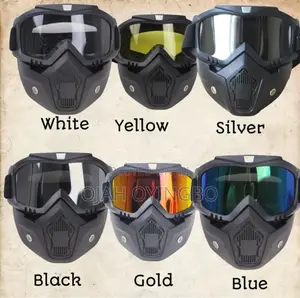 Brand New Detachable Ski Goggle