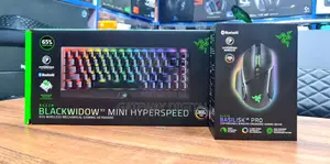 Razer Blackwidow V3 Mini Keys Basilisk V3 Pro Mouse Combo