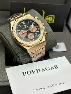 Poedegar Men’S Luxury Watch