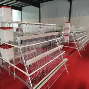96-bird Galvanized Cage: 20 Years Long-lasting Durable