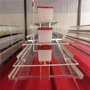 Exclusive 96-bird Hot Galvanized Cage: 20 Years Of High Roi"