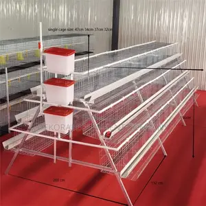 Upgrade To 96-bird Cage: 20 Years Of Comfort And Longevity