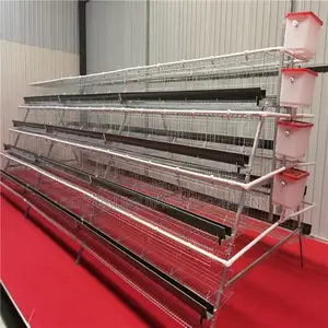 Get Higher Roi With Our 160-bird Hot Galvanized Cage