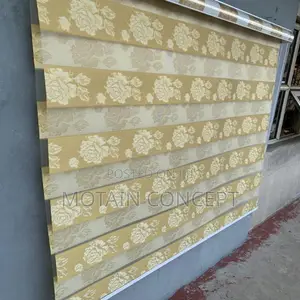 Day and Night Window Blinds