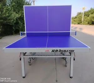 Mobile Table Tennis Indoor Board