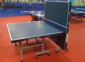 Brand New Indoor Tennis Table