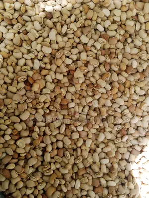 Clean Hand Picked Oloyin Beans (Honey Beans)50kg
